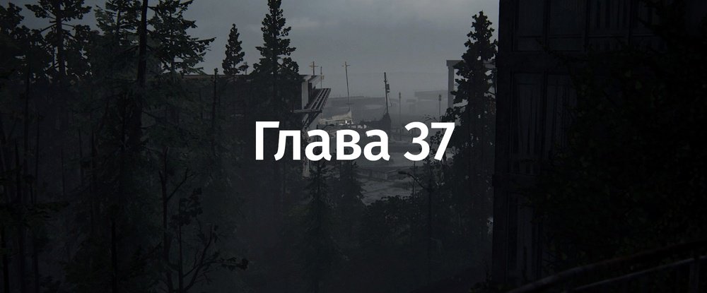The Last Of Us 2: «Сиэтл, день 3. Яхт-клуб» — все монеты и артефакты