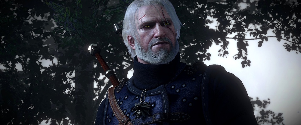 В Skyrim попробовали воссоздать бои из The Witcher 3 — хватило 11 модов