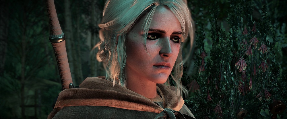 Оказывается, по миру The Witcher 3 можно побегать на беговой дорожке