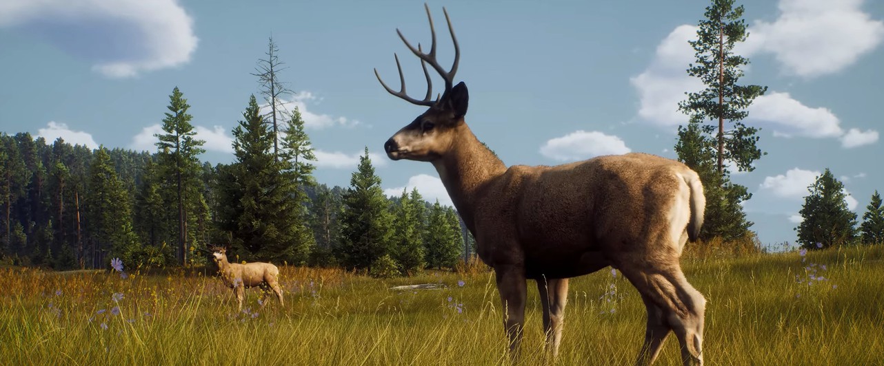 Анонсирован симулятор охотника Way of the Hunter: 280 квадратных километров, множество биомов и добычи