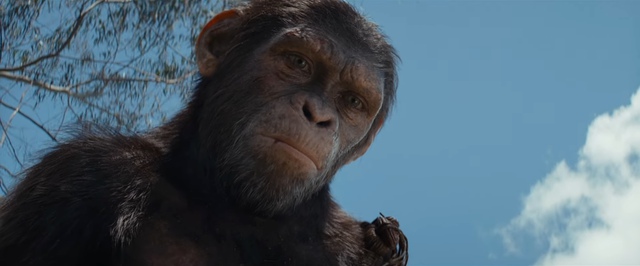«Планета обезьян: Королевство» получит версию без обезьян