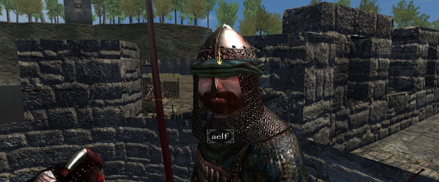 Власти Южной Кореи добились от Steam удаления мода для Mount and Blade