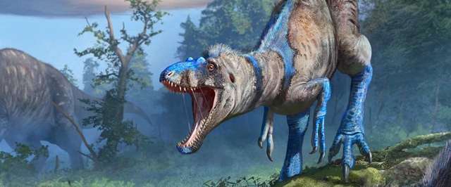 После 80 лет споров маленький тираннозавр оказался отдельным видом динозавра