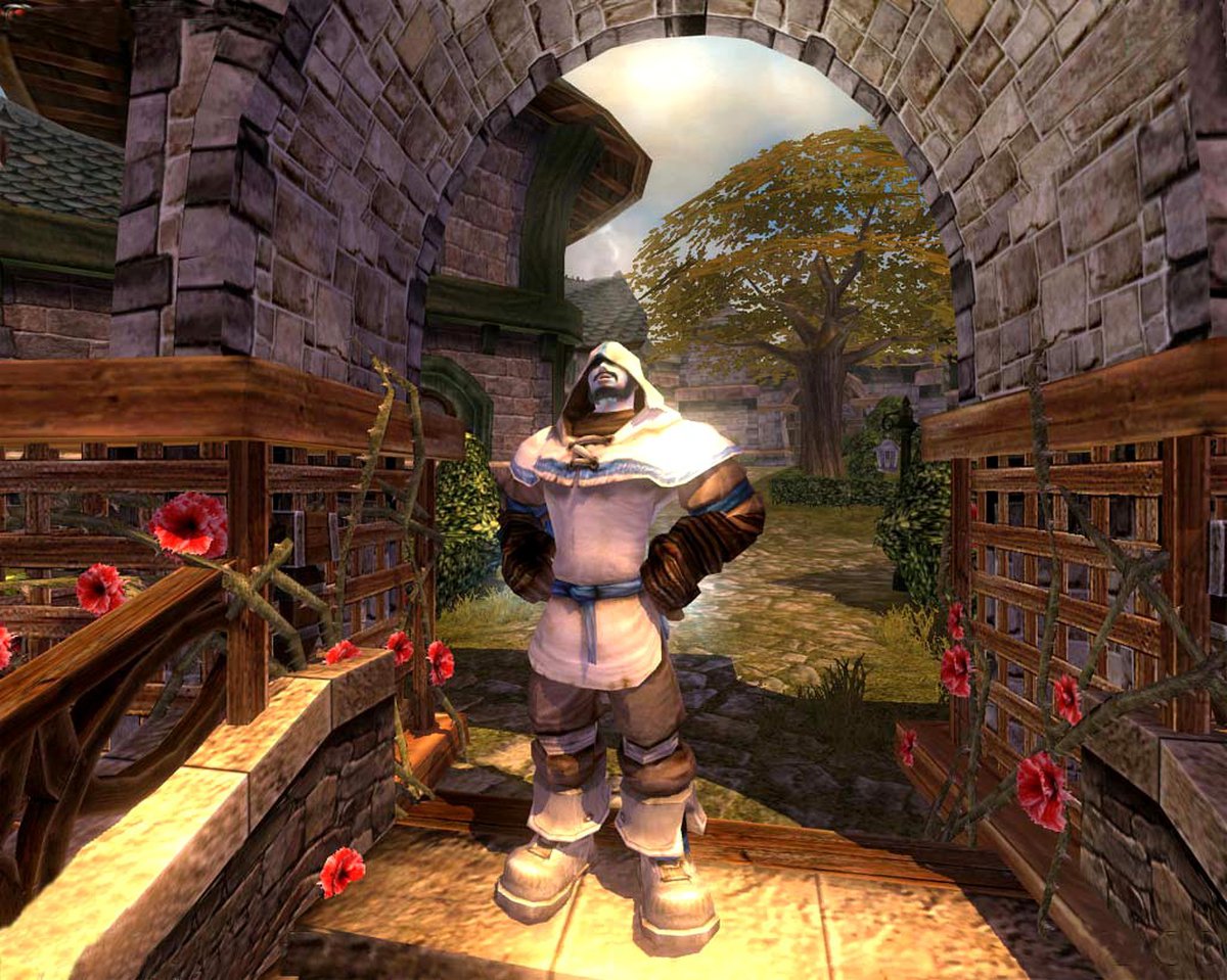 Fable anniversary for steam фото 73