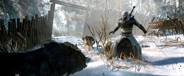 CD Projekt RED: расширенного издания The Witcher 3 не будет