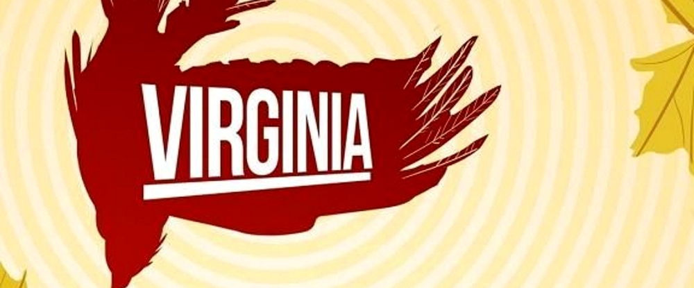 Virginia — детектив  который мы заслуживаем