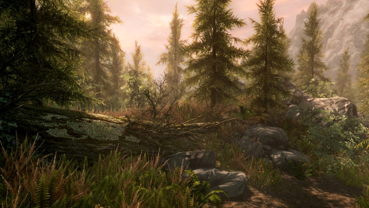 Как выглядит стилбук The Elder Scrolls V: Skyrim Special Edition