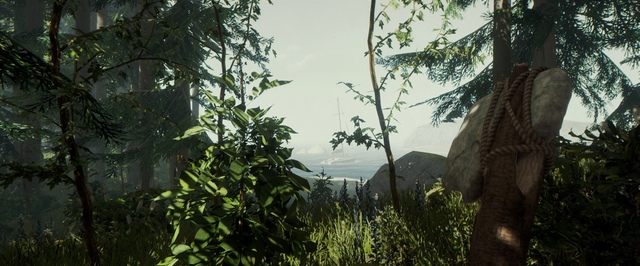 The Forest выйдет на PlayStation 4