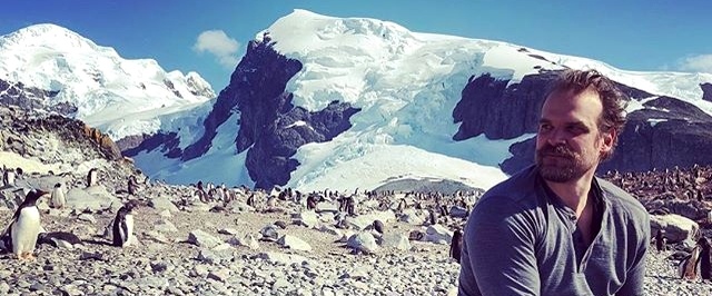 Шериф Хоппер из «Очень странных дел» станцевал с пингвинами в Антарктике