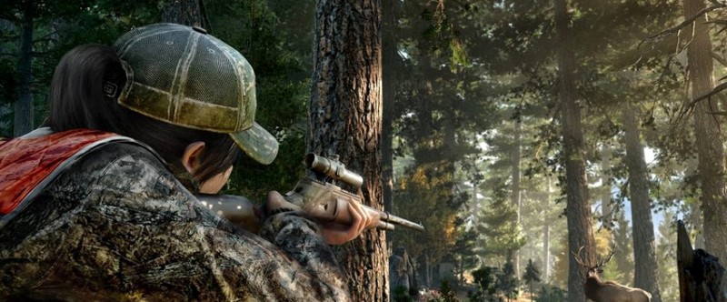 В Far Cry 5 можно играть и на минимальных настройках