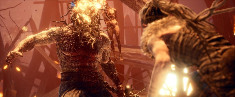 Авторы Hellblade Senuas Sacrifice приятно удивлены числом игроков на PC