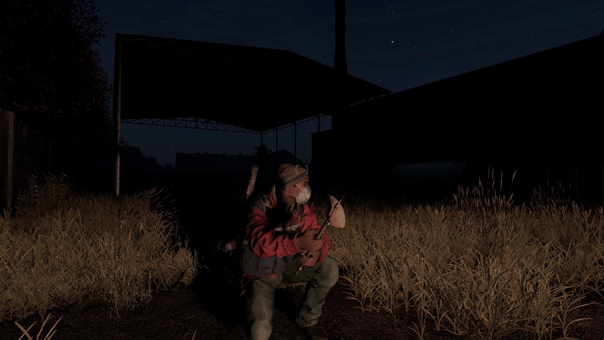 Dayz на обратной стороне фотографии следующий текст