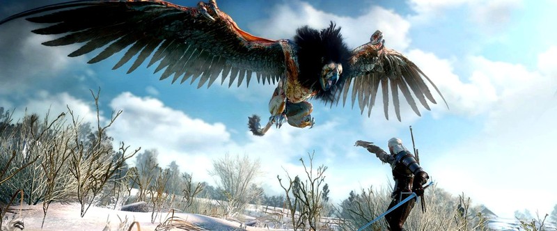 The Witcher — одна из двух франшиз, на которых строится будущее CD Projekt