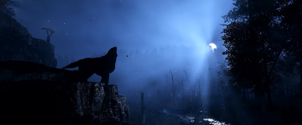 Лес, река и волки: новые скриншоты Metro Exodus