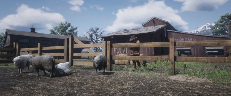 Один день из жизни NPC в Red Dead Redemption 2