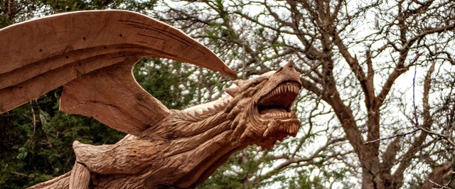 В Уэльсе поставили деревянного «дракона Bethesda» — теперь полиция просит не тормозить у него