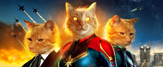 Актриса-аллергик и четыре кошки: как снимали кошачьи сцены «Капитана Марвел»