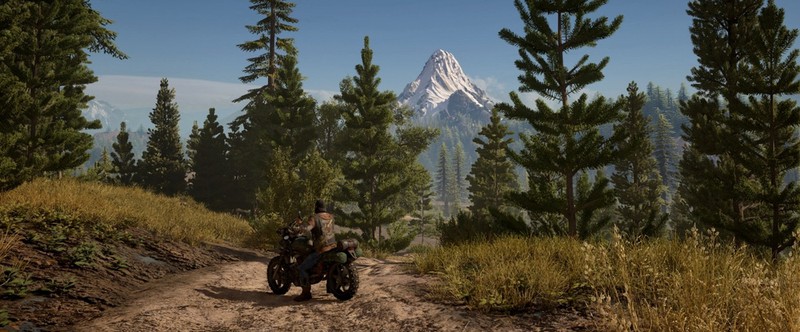 Интересные факты о Days Gone: постоянные орды, четыре колеса, поддержка поселений