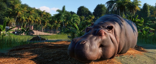 Авторы Planet Coaster и Elite Dangerous выпустят симулятор зоопарка с реалистичными животными