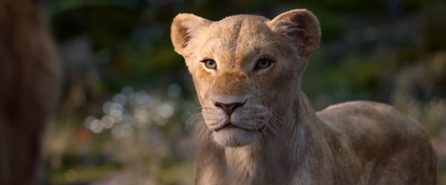 В тизере «Короля Льва» впервые показали говорящих животных