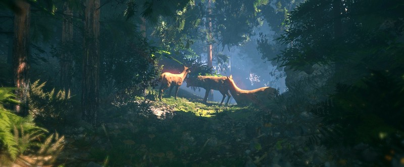 Рука бога: в Steam вышел редактор, позволяющий просто рисовать красивые миры