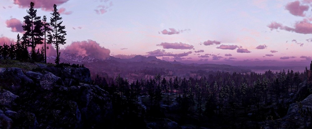 Пролетая над Сен-Дени: виртуальный фотограф смотрит на мир Red Dead Redemption 2 сверху