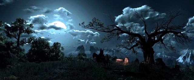 В The Witcher 3 стоило показать темную сторону Цири — может, CD Projekt к ней еще вернется