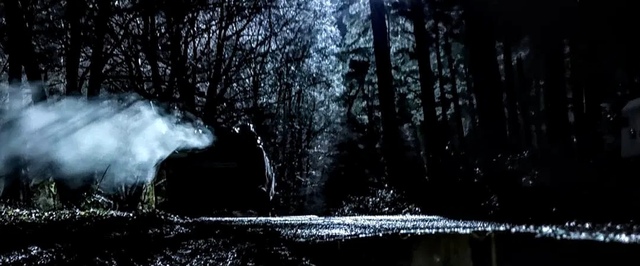 Второй сезон «Ведьмака» снимают в «зловещем лесу». Вот как он выглядит