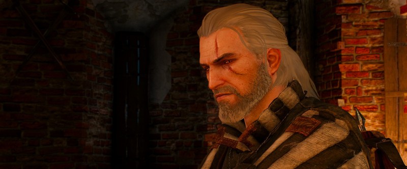 В The Witcher 3 моддер сделал белых волков союзниками Геральта