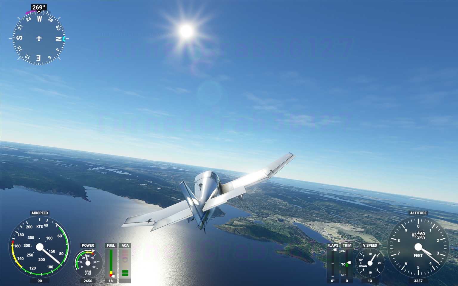 Microsoft flight simulator x steam edition не запускается на windows 10 фото 62