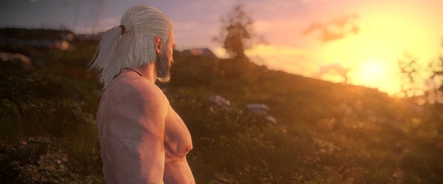 Моддер добавил в The Witcher 3 пухлого Геральта