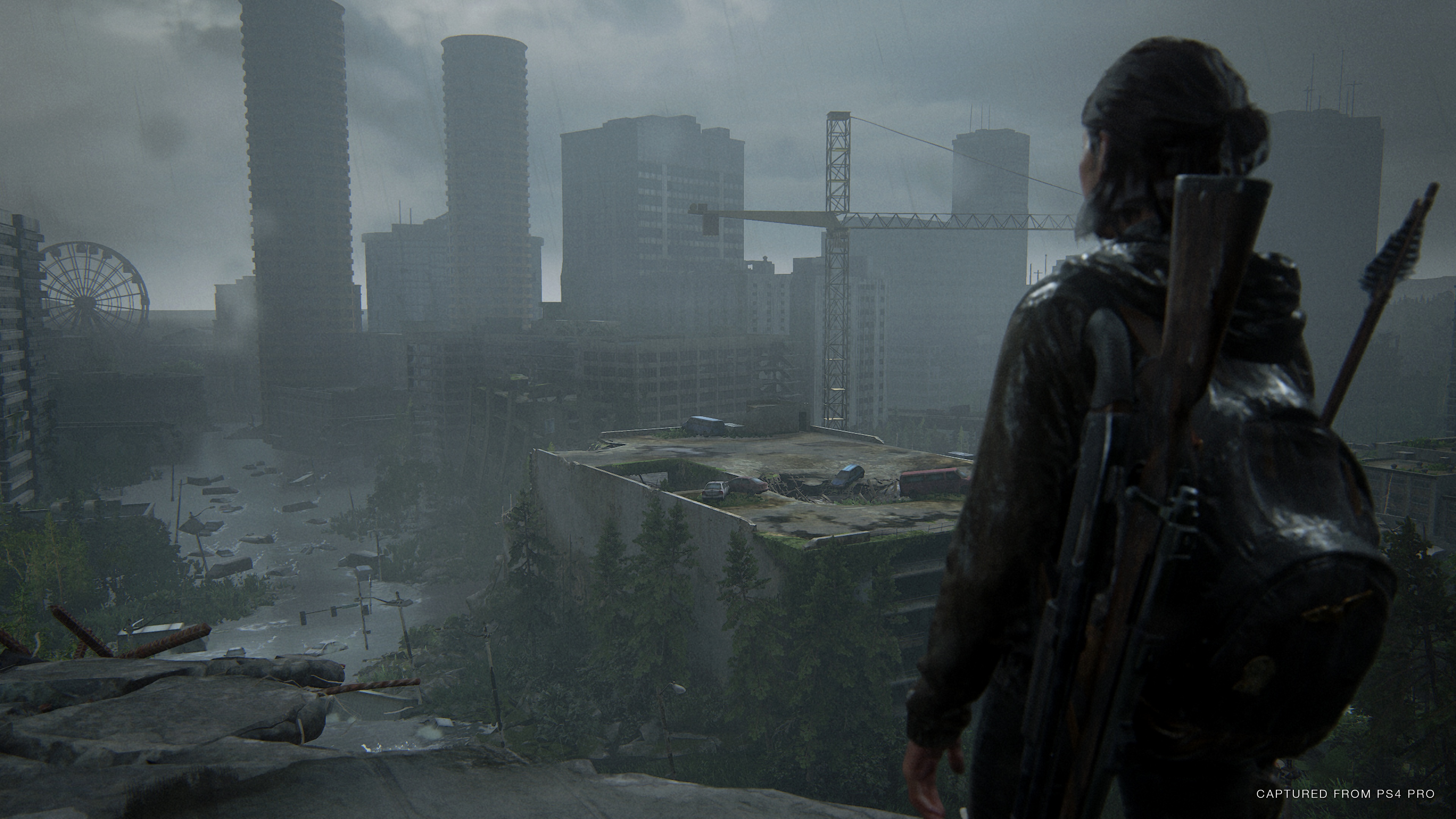 Ласт оф ас2. The last of us.