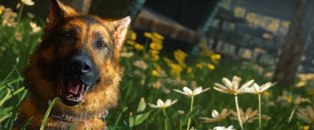The Last of Us 2 — самая популярная игра июня в PlayStation Store