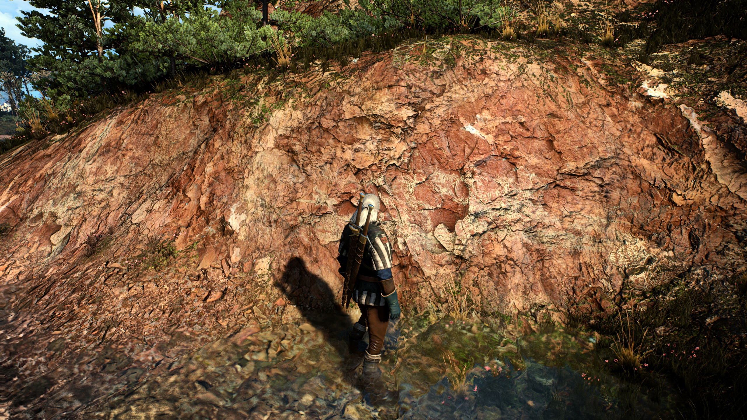 Texture mod для the witcher 3 фото 51