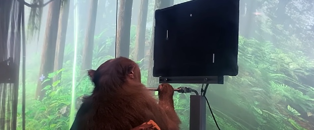 Видео: обезьяна играет в пинг-понг силой мысли