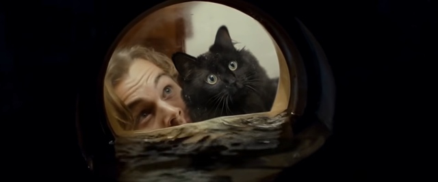 Теперь «Титаник» это фильм про Леонардо Ди Каприо и котика