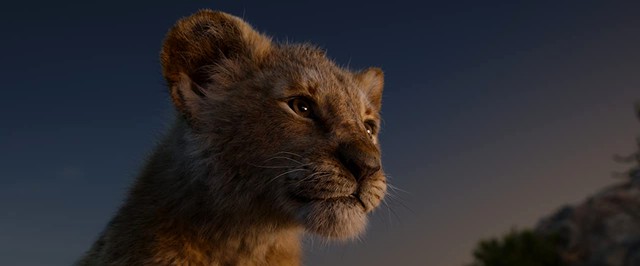 Королями не рождаются: чего ждать от приквела «Короля Льва»