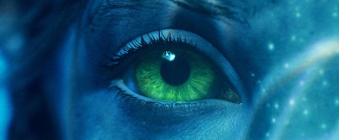 Ten Years On: Avatar: The Way of the Water poster and synopsis