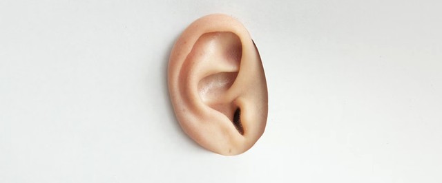 Ученые впервые восстановили ухо с помощью импланта, отпечатанного на биопринтере