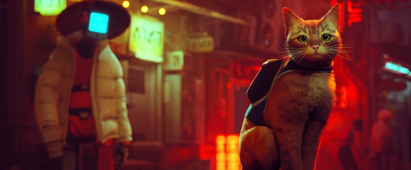 Чарты: на консолях распродажа, в Steam предзаказывают игру про котика