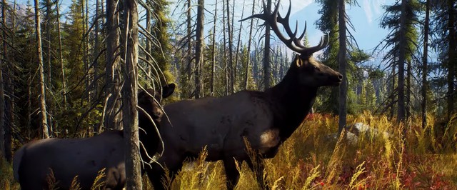Ранчо и окрестности: обзорный трейлер симулятора охотника Way of the Hunter