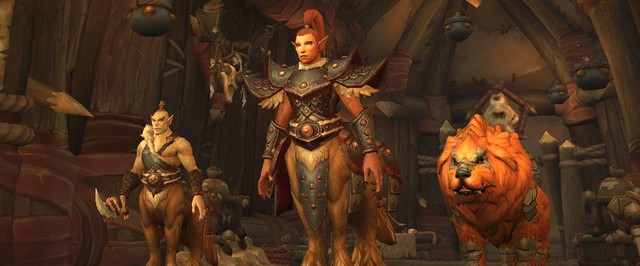 В World of Warcraft появятся глухой персонаж и сурдопереводчик