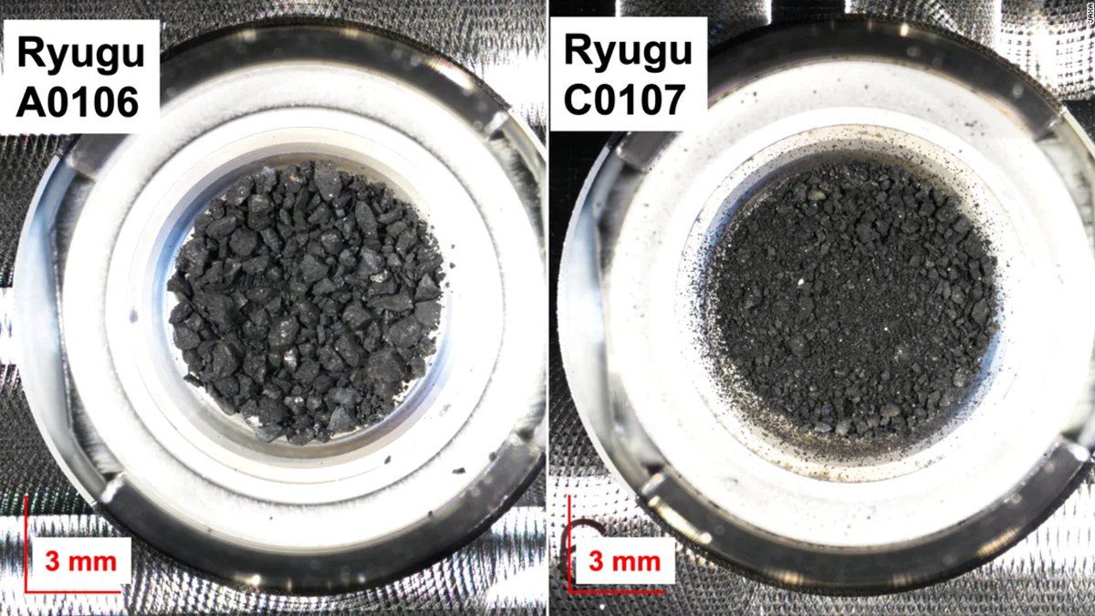 Organics and vitamin B3 found in samples from the asteroid Ryugu