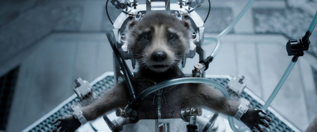 «Стражи Галактики 3» стал лучшим фильмом года по защите прав животных