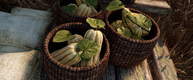 В Skyrim добавили фотореалистичные тыквы — они уникальные и могут расти