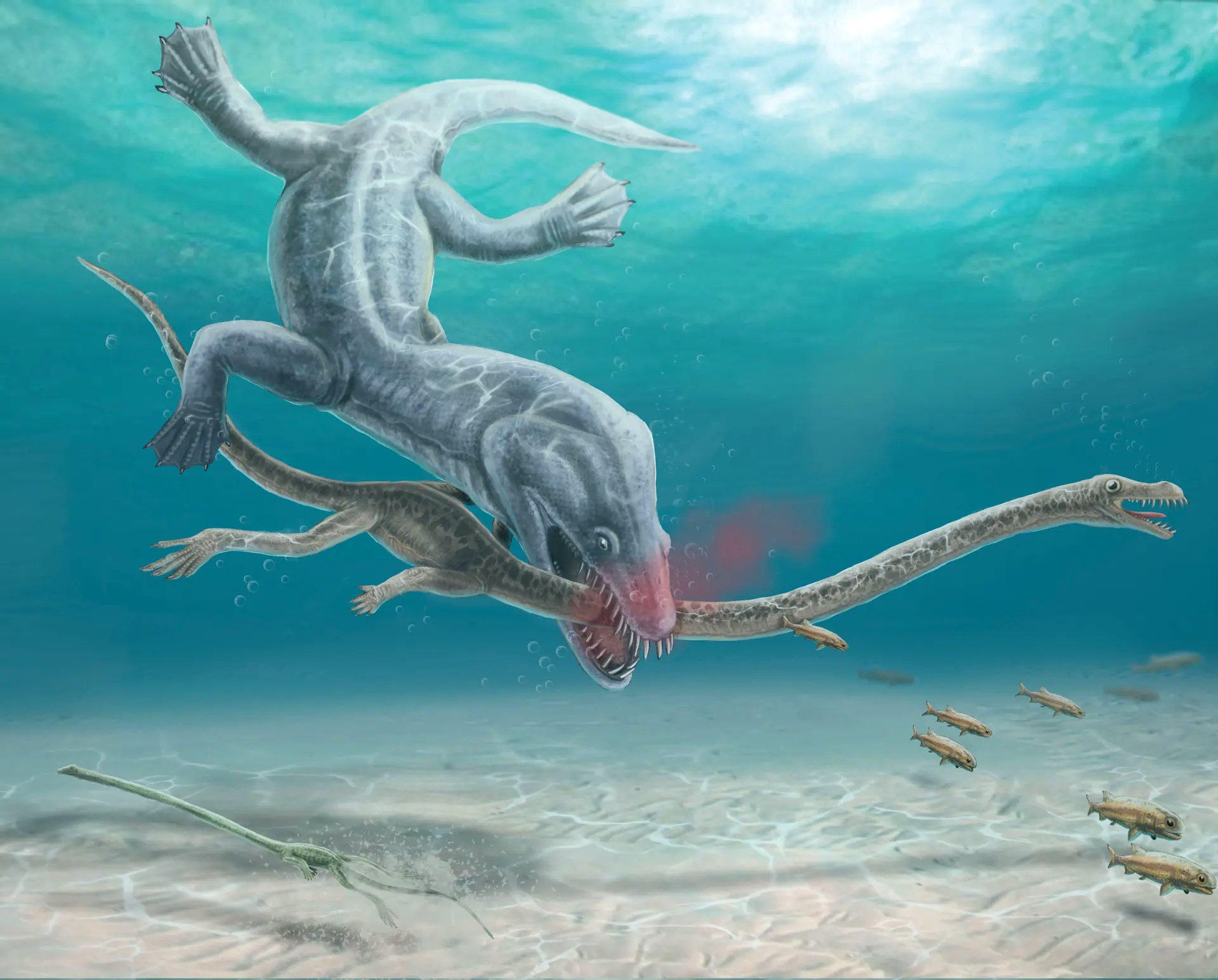 Рептилии Триасового периода. Танистрофей динозавр. Tanystropheus hydroides. Танистрофей Триасового периода.