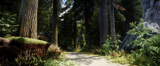 В Skyrim добавили «сказочные леса»