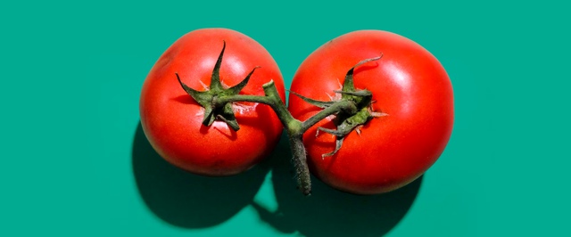 На МКС нашли пропавший помидор — поиски заняли 8 месяцев