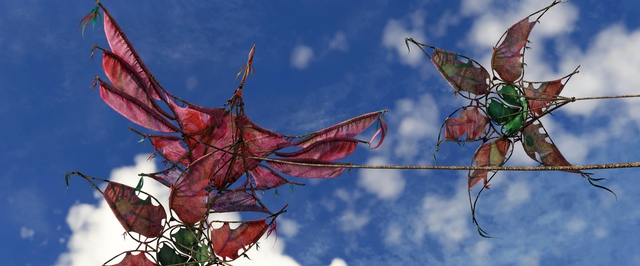 На крыльях ветра в Avatar Frontiers of Pandora: все воздушные змеи Зесва