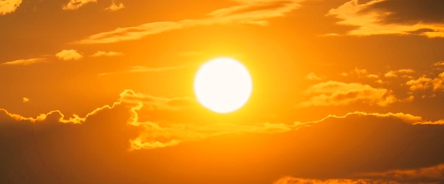 2023 год пять раз признали самым жарким в истории наблюдений